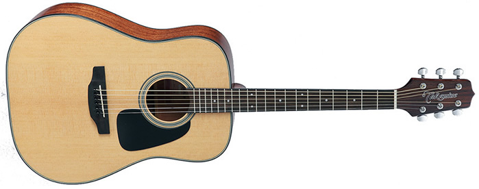 takamine d1d ns price