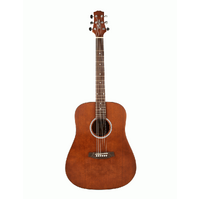 Ashton D20MS Acoustic Guitar 